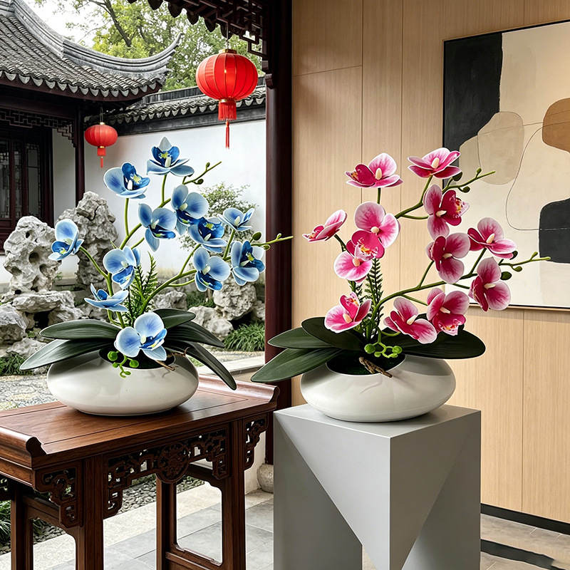Orchid Phalaenopsis - Butterfly Orchid 12 Flower Bonsai Small