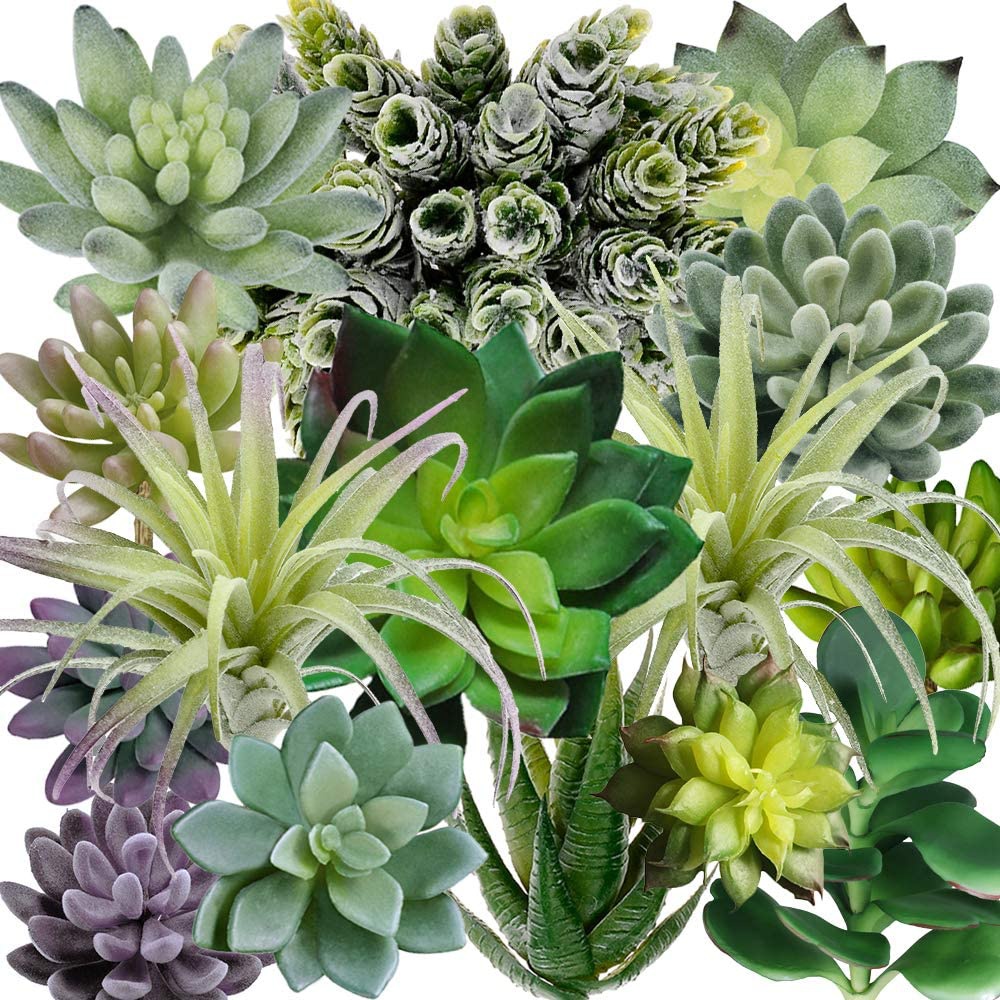 String Of Pearls Plant - 15 Pack Assorted Artificial Succulents Plants