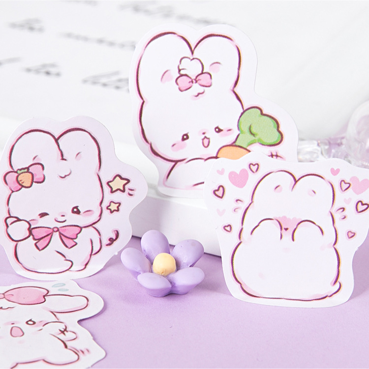 45 pcs/box Cute rabbit daily K - Planned Parenthood 评论和价格