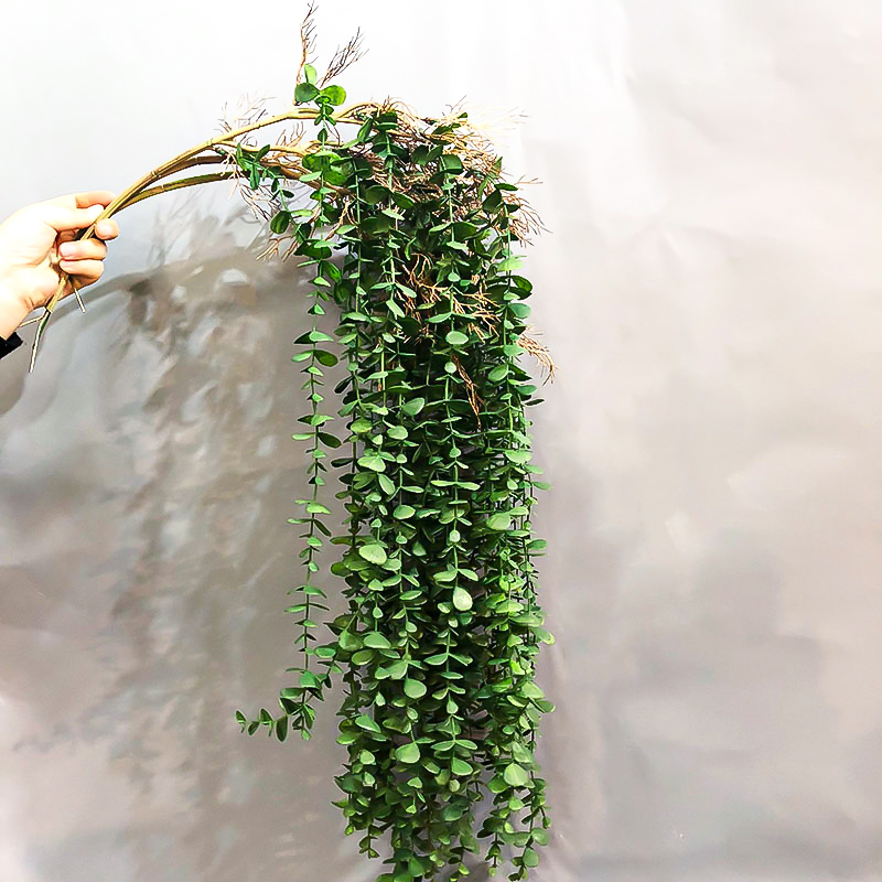 104cm Fake Eucalyptus Rattan A - String Of Pearls Plant 评论和价格