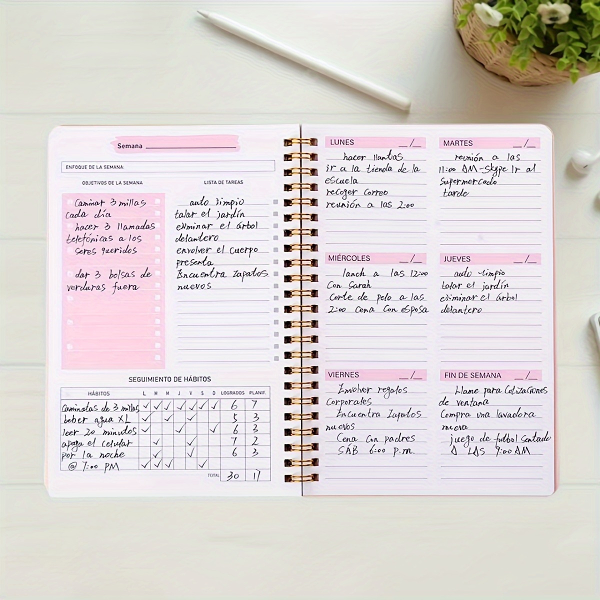 52 Week English Weekly Planner - Planned Parenthood 评论和价格