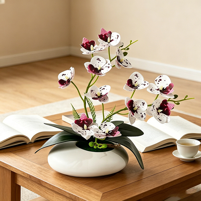 Butterfly Orchid 12 Flower Bon - Orchid Phalaenopsis 评论和价格