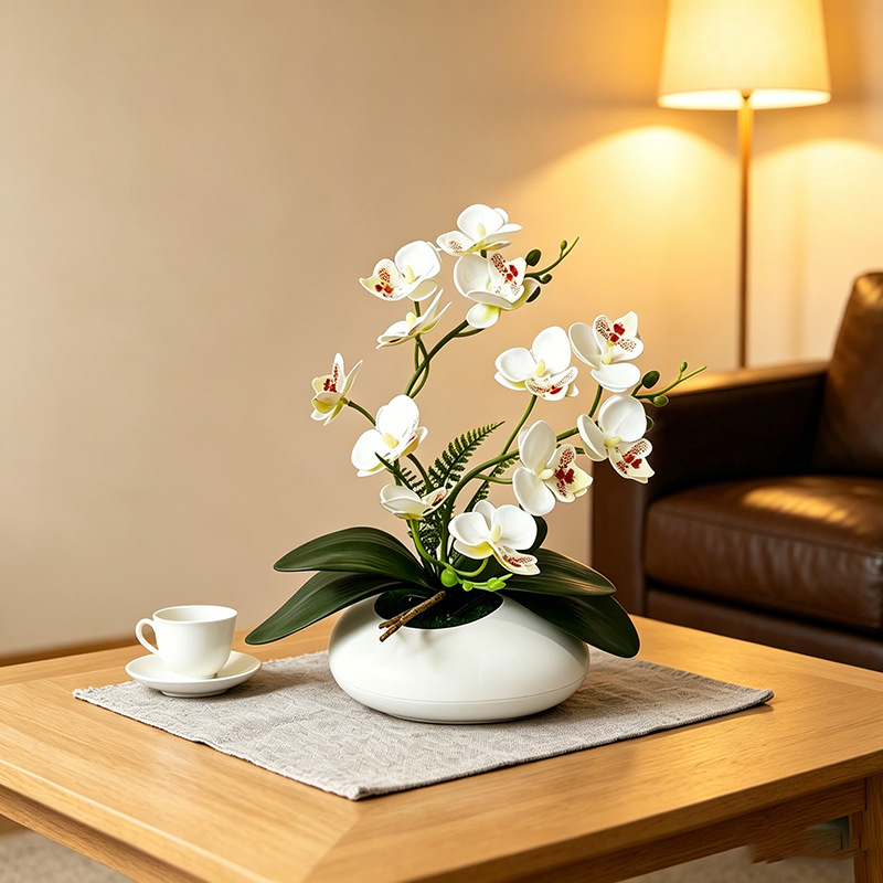 Butterfly Orchid 12 Flower Bon - Orchid Phalaenopsis 评论和价格
