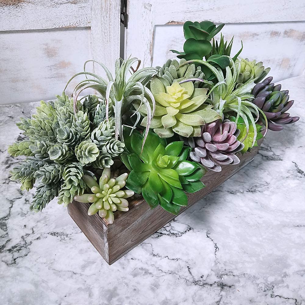 15 Pack Assorted Artificial Su - String Of Pearls Plant 评论和价格