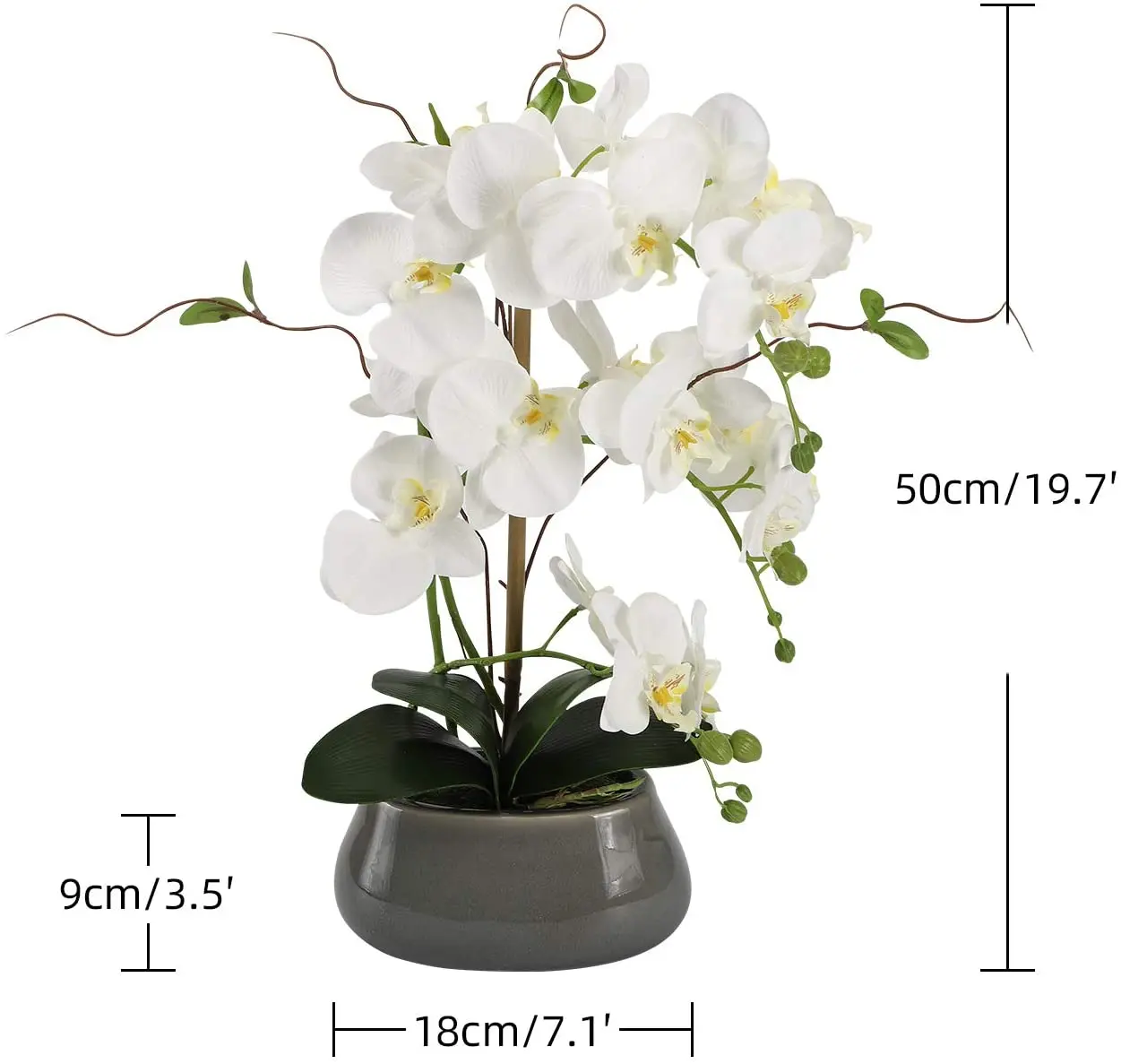 Artificial Orchid Flowers Cent - Orchid Phalaenopsis 评论和价格