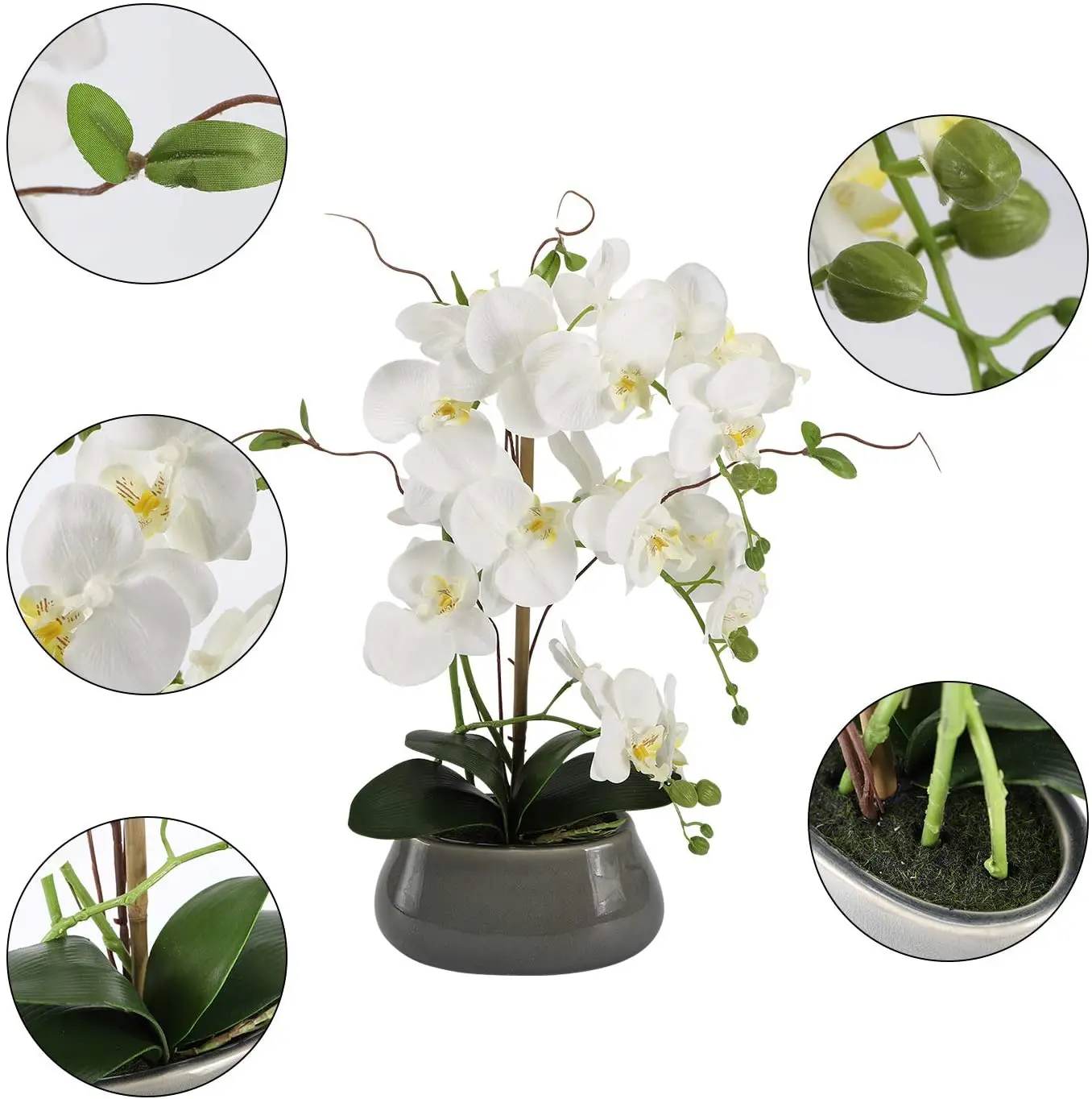 Artificial Orchid Flowers Cent - Orchid Phalaenopsis 评论和价格