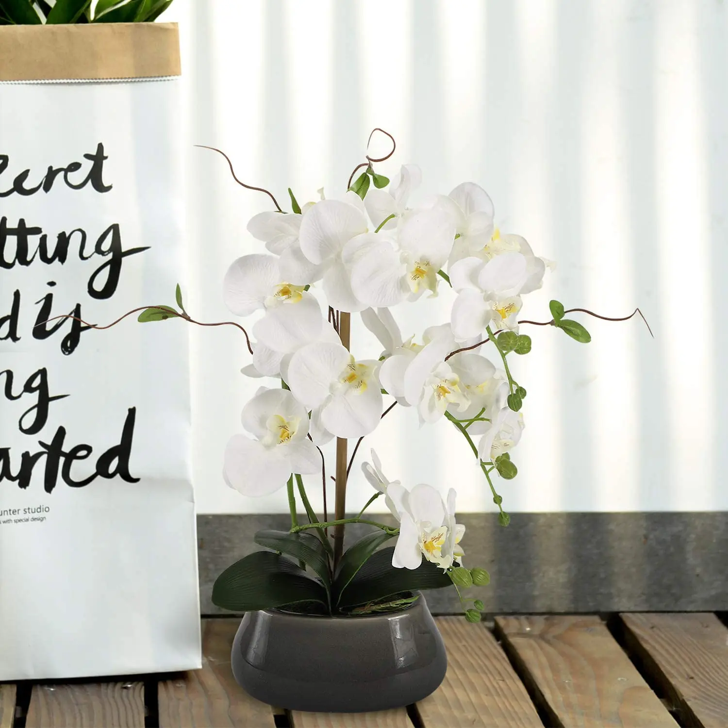 Artificial Orchid Flowers Cent - Orchid Phalaenopsis 评论和价格
