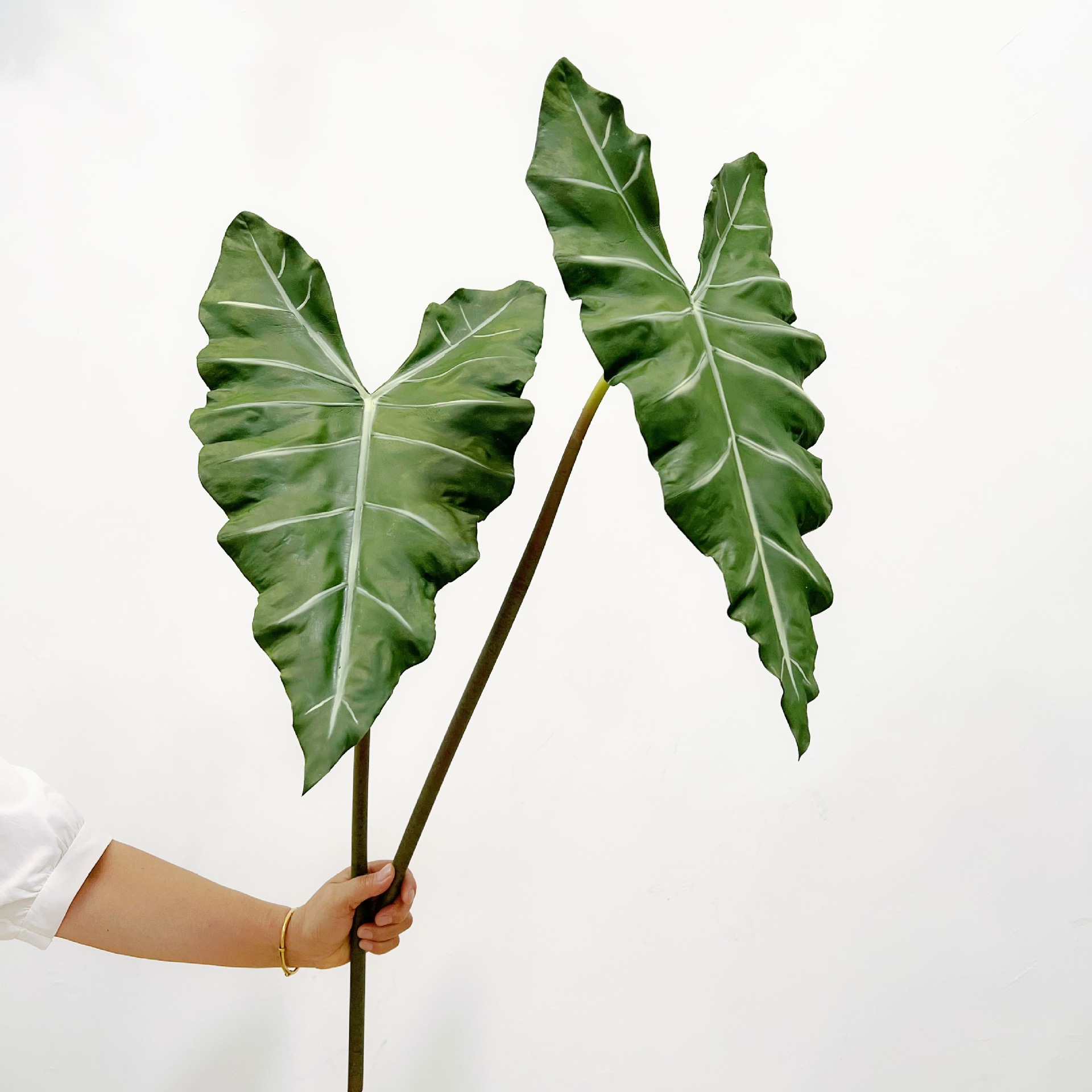 Simulated Long PU Hand-feel Gr - String Of Pearls Plant 评论和价格