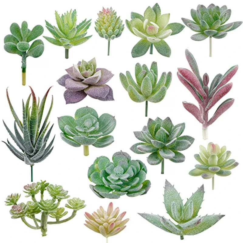 10/20Pcs PVC Succulents Plants - String Of Pearls Plant 评论和价格